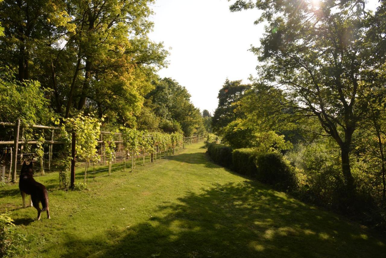 Thatchcombe B&B Wantage Kültér fotó